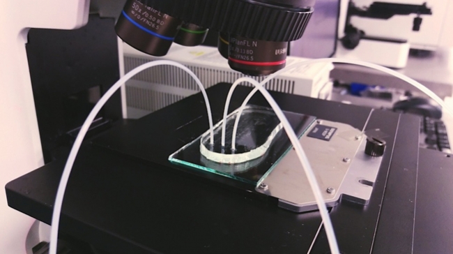 ABD'de yaşayan Türk bilim insanı, kanseri kanda teşhis eden cihaz geliştirdi